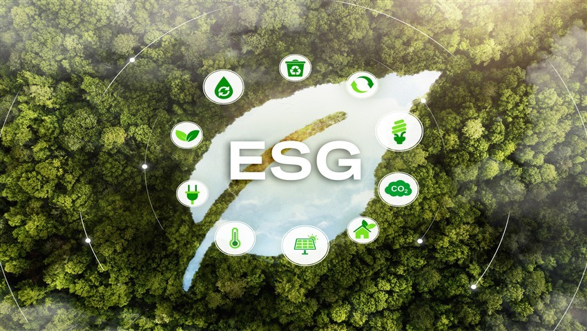 Sustainability and ESG: Why Future Business Leaders Must Be Ready