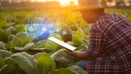 Exploring New Horizons in Management Research from AI Ethics to Climate Change Solutions