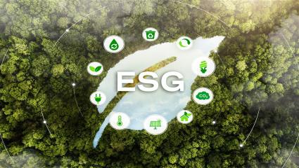 Sustainability and ESG: Why Future Business Leaders Must Be Ready