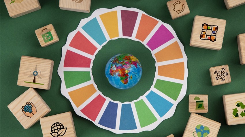 Sustainable Supply Chain and Environmental Collaboration in the Supply Chain Management: Agenda for Future Research and Implications