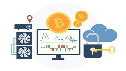 Unraveling environmental threads: Bitcoin prices, energy consumption, and crypto market volatility