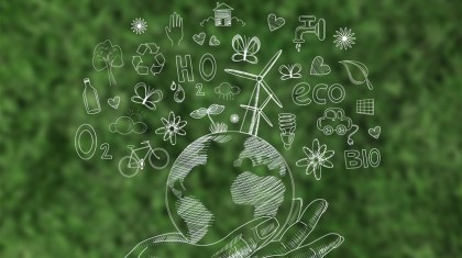 Digital orientation, digital eco-innovation and circular economy in the context of sustainable development goals